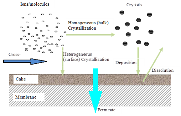 Membrane filtrations-permeate